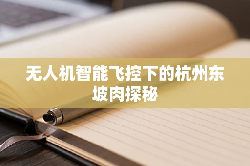 无人机智能飞控下的杭州东坡肉探秘