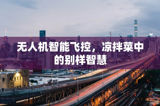 无人机智能飞控，凉拌菜中的别样智慧