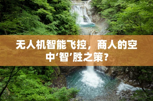 无人机智能飞控，商人的空中‘智’胜之策？