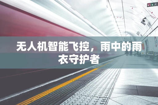 无人机智能飞控，雨中的雨衣守护者