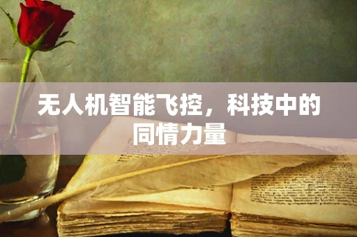 无人机智能飞控，科技中的同情力量