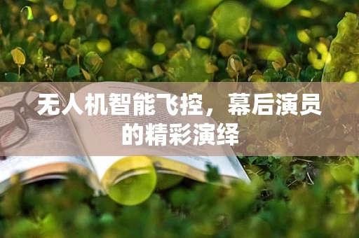 无人机智能飞控，幕后演员的精彩演绎