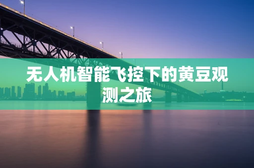 无人机智能飞控下的黄豆观测之旅