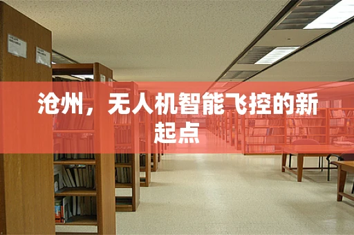 沧州，无人机智能飞控的新起点