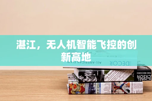 湛江，无人机智能飞控的创新高地
