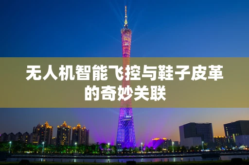 无人机智能飞控与鞋子皮革的奇妙关联