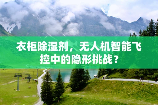衣柜除湿剂，无人机智能飞控中的隐形挑战？