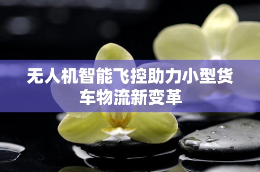 无人机智能飞控助力小型货车物流新变革