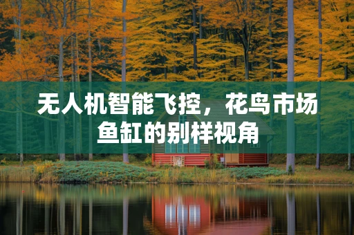 无人机智能飞控，花鸟市场鱼缸的别样视角