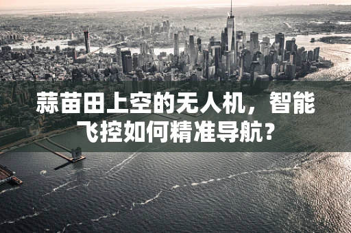 蒜苗田上空的无人机，智能飞控如何精准导航？