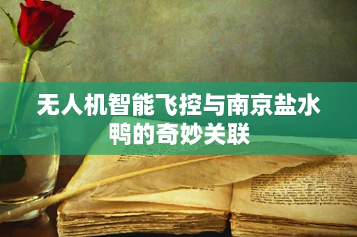 无人机智能飞控与南京盐水鸭的奇妙关联