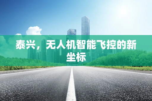 泰兴，无人机智能飞控的新坐标