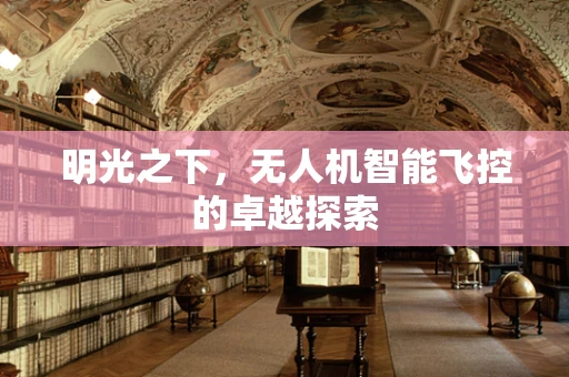 明光之下，无人机智能飞控的卓越探索