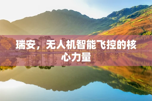 瑞安，无人机智能飞控的核心力量
