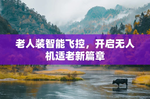 老人装智能飞控，开启无人机适老新篇章