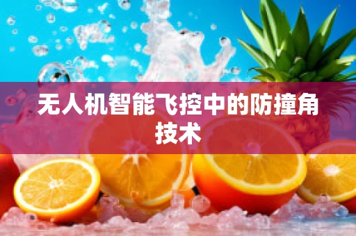 无人机智能飞控中的防撞角技术