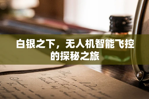 白银之下，无人机智能飞控的探秘之旅