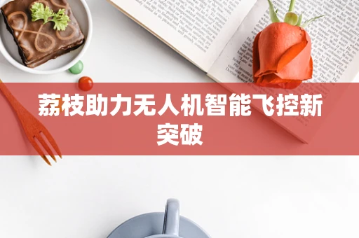荔枝助力无人机智能飞控新突破