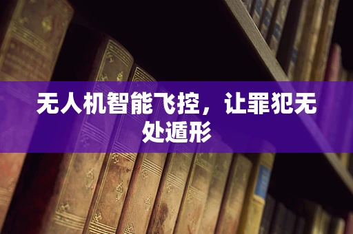 无人机智能飞控，让罪犯无处遁形