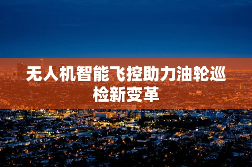 无人机智能飞控助力油轮巡检新变革