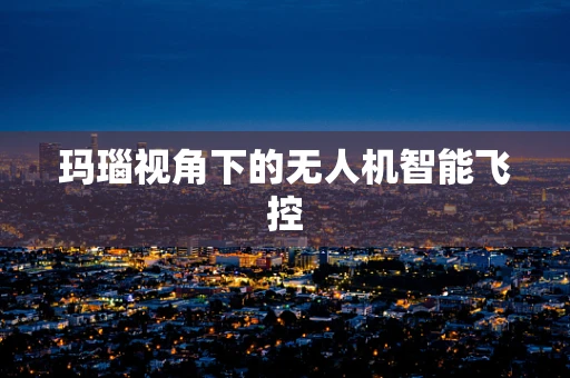 玛瑙视角下的无人机智能飞控