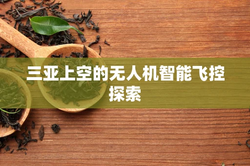 三亚上空的无人机智能飞控探索