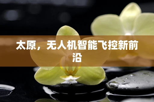太原，无人机智能飞控新前沿