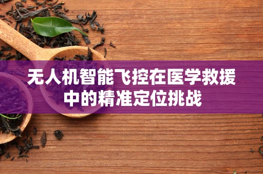 无人机智能飞控在医学救援中的精准定位挑战