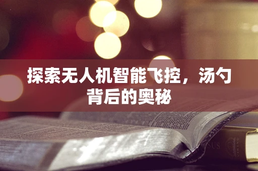 探索无人机智能飞控，汤勺背后的奥秘