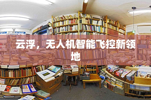 云浮，无人机智能飞控新领地