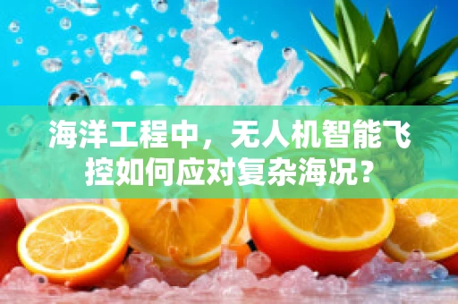 海洋工程中，无人机智能飞控如何应对复杂海况？