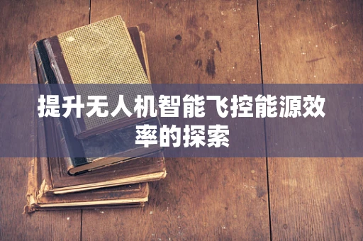 提升无人机智能飞控能源效率的探索