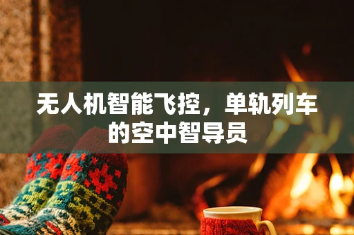 无人机智能飞控，单轨列车的空中智导员