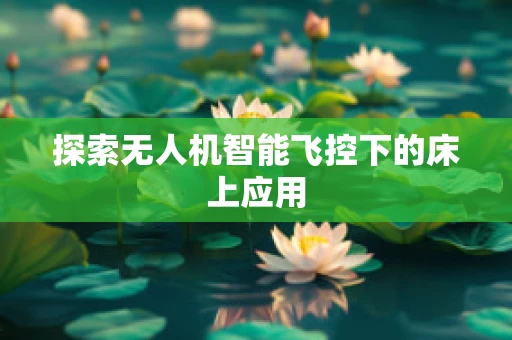 探索无人机智能飞控下的床上应用