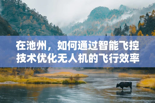 在池州，如何通过智能飞控技术优化无人机的飞行效率？