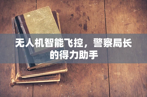 无人机智能飞控，警察局长的得力助手