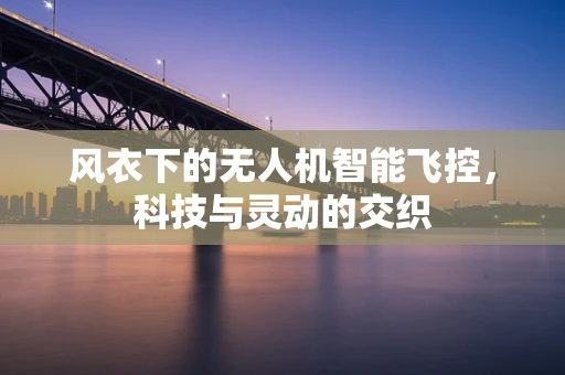风衣下的无人机智能飞控，科技与灵动的交织