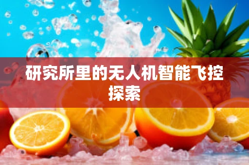 研究所里的无人机智能飞控探索
