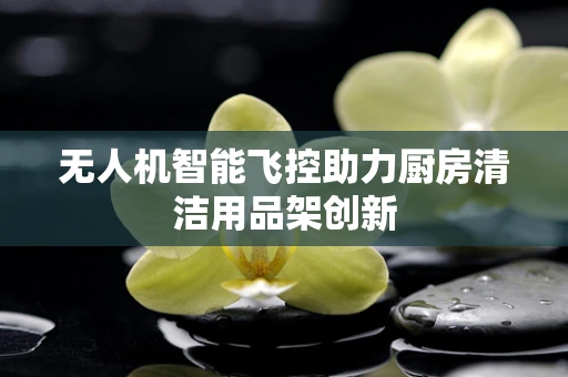 无人机智能飞控助力厨房清洁用品架创新