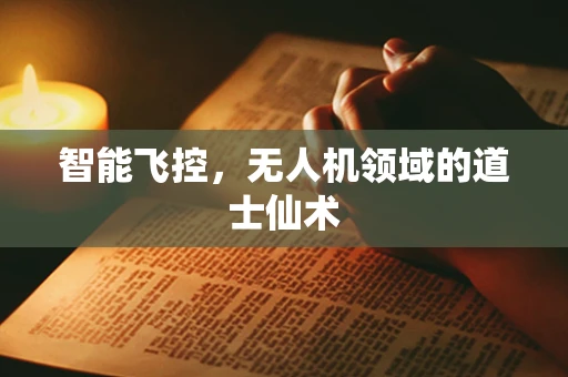 智能飞控，无人机领域的道士仙术