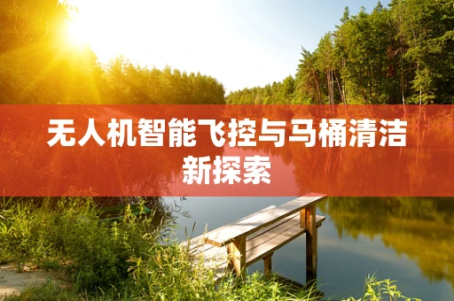 无人机智能飞控与马桶清洁新探索