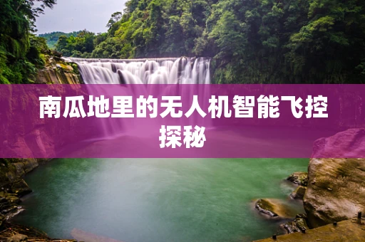 南瓜地里的无人机智能飞控探秘