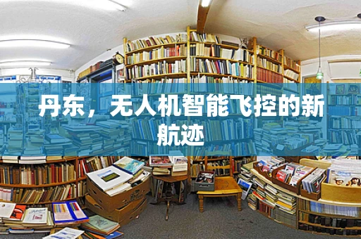 丹东，无人机智能飞控的新航迹