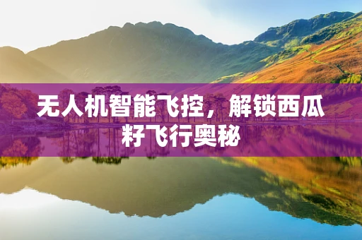 无人机智能飞控，解锁西瓜籽飞行奥秘