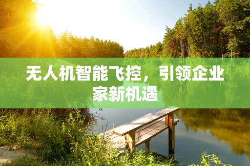 无人机智能飞控，引领企业家新机遇