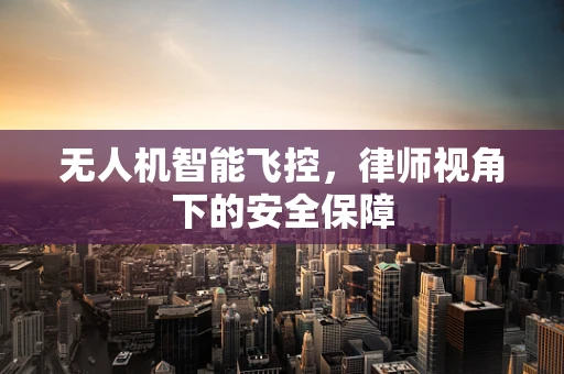 无人机智能飞控，律师视角下的安全保障