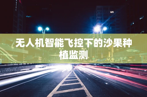 无人机智能飞控下的沙果种植监测