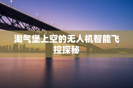 淘气堡上空的无人机智能飞控探秘