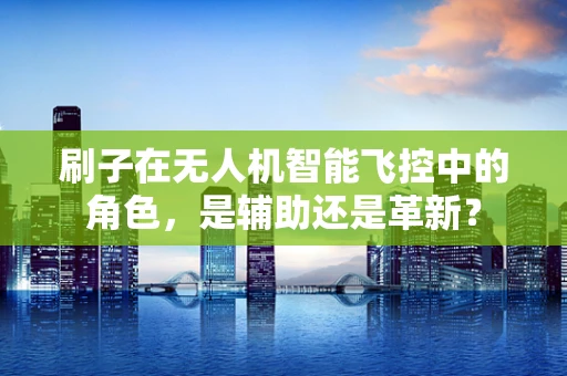 刷子在无人机智能飞控中的角色，是辅助还是革新？