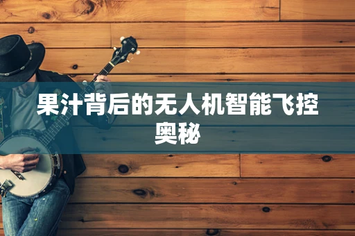 果汁背后的无人机智能飞控奥秘